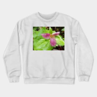 purple trillium #2 Crewneck Sweatshirt